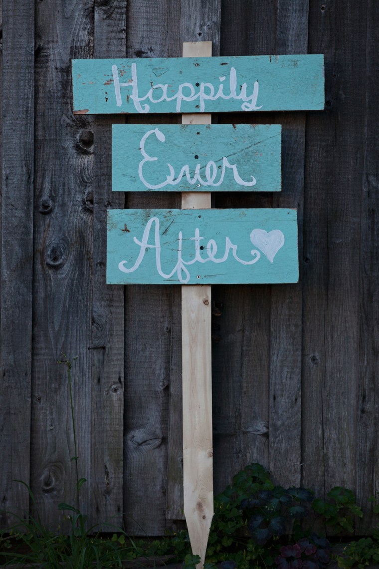 Borrowed-2025 - Copy